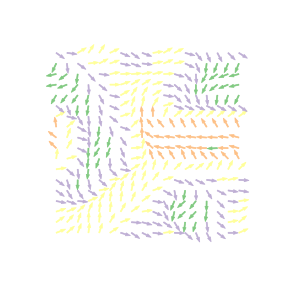 Vector field